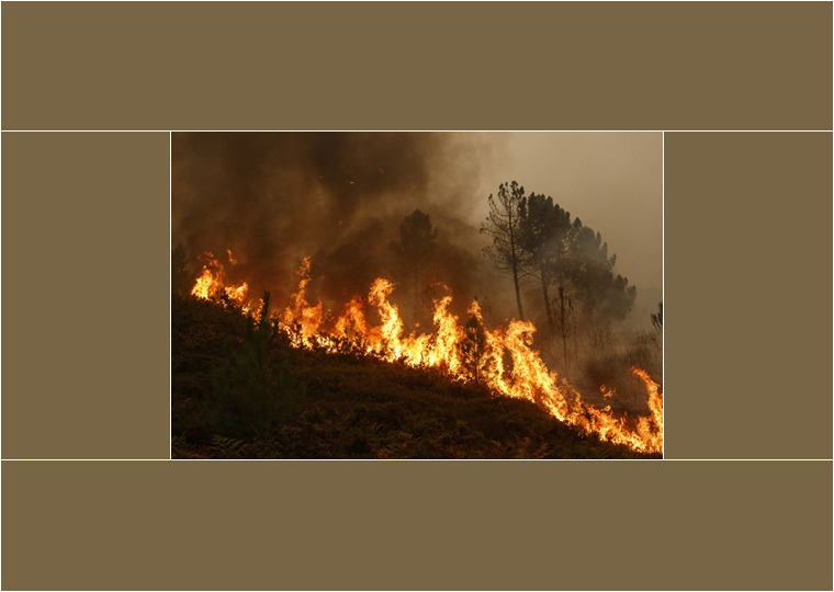 Waldbrand